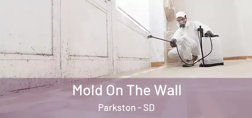  Mold On The Wall Parkston - SD
