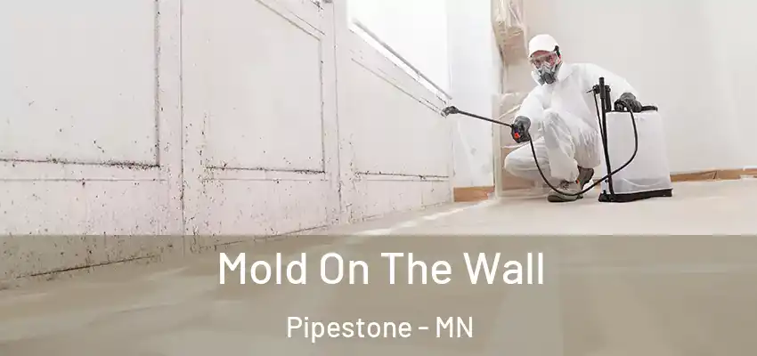 Mold On The Wall Pipestone - MN