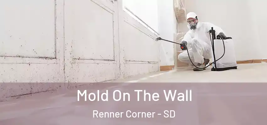  Mold On The Wall Renner Corner - SD