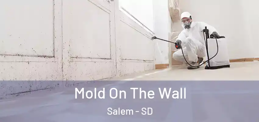 Mold On The Wall Salem - SD