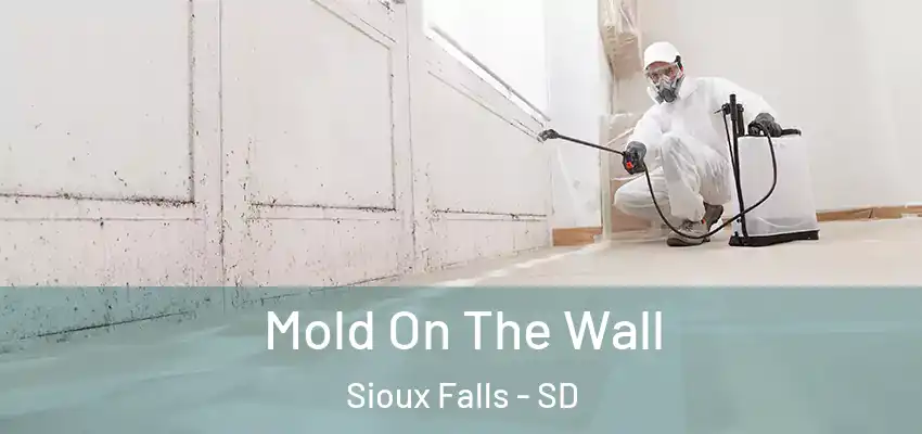 Mold On The Wall Sioux Falls - SD