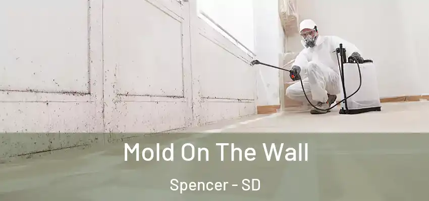 Mold On The Wall Spencer - SD