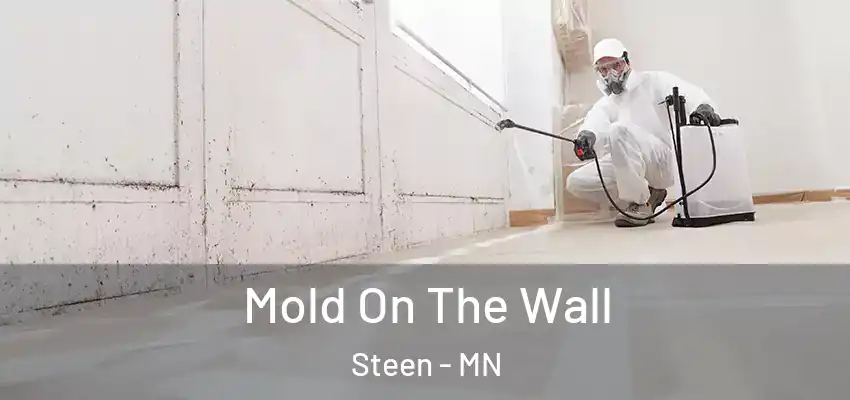  Mold On The Wall Steen - MN