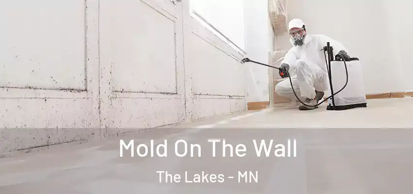  Mold On The Wall The Lakes - MN