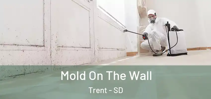  Mold On The Wall Trent - SD