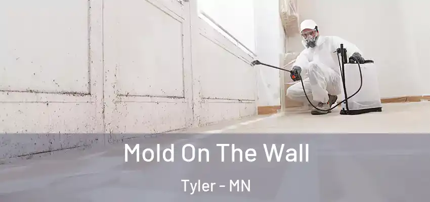  Mold On The Wall Tyler - MN