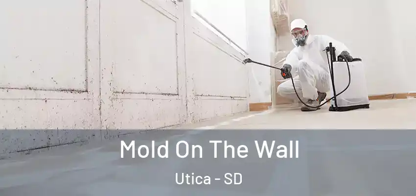 Mold On The Wall Utica - SD