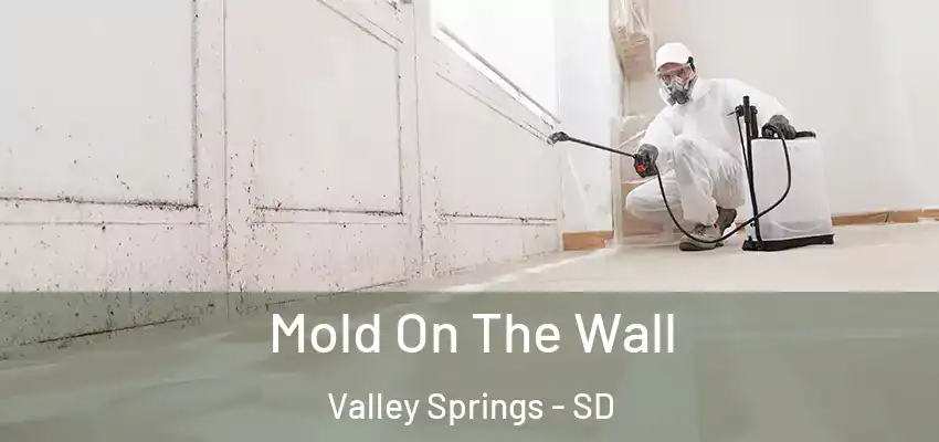 Mold On The Wall Valley Springs - SD