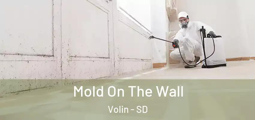 Mold On The Wall Volin - SD