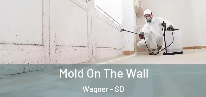  Mold On The Wall Wagner - SD