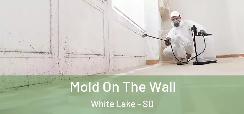 Mold On The Wall White Lake - SD