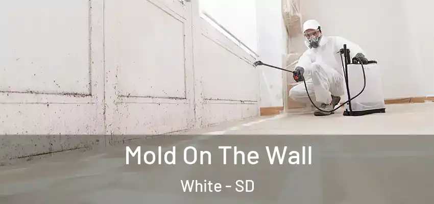 Mold On The Wall White - SD