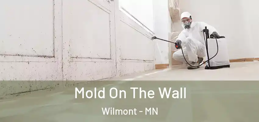 Mold On The Wall Wilmont - MN