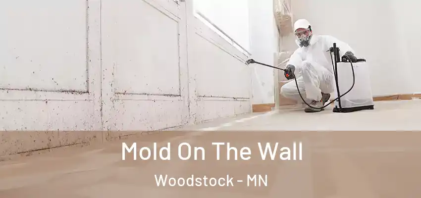  Mold On The Wall Woodstock - MN