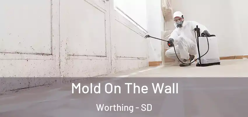 Mold On The Wall Worthing - SD