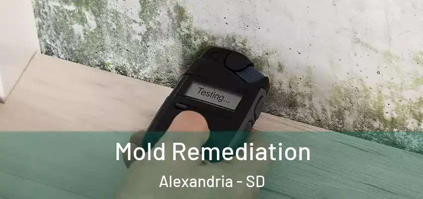 Mold Remediation Alexandria - SD