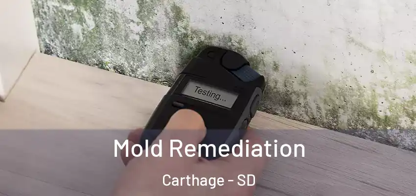 Mold Remediation Carthage - SD