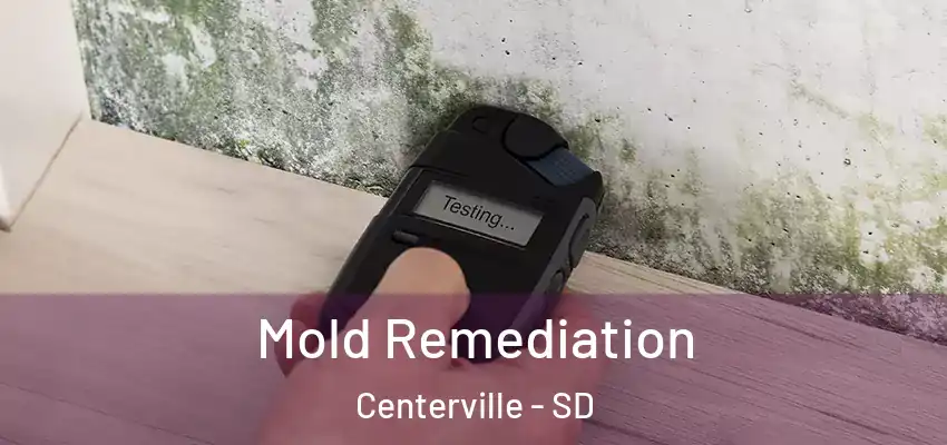  Mold Remediation Centerville - SD