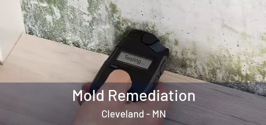  Mold Remediation Cleveland - MN