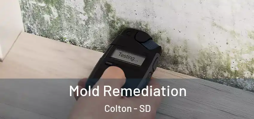 Mold Remediation Colton - SD