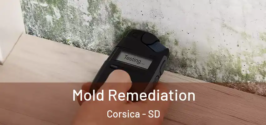 Mold Remediation Corsica - SD