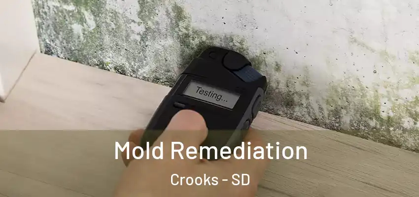 Mold Remediation Crooks - SD