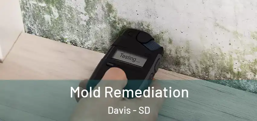  Mold Remediation Davis - SD