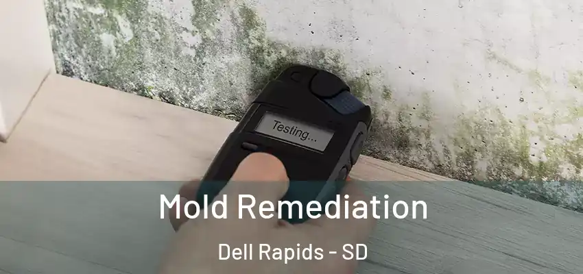 Mold Remediation Dell Rapids - SD