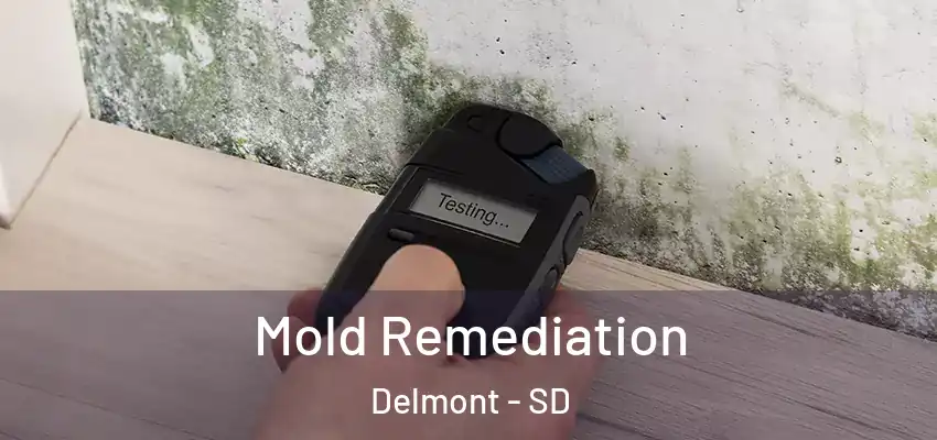  Mold Remediation Delmont - SD