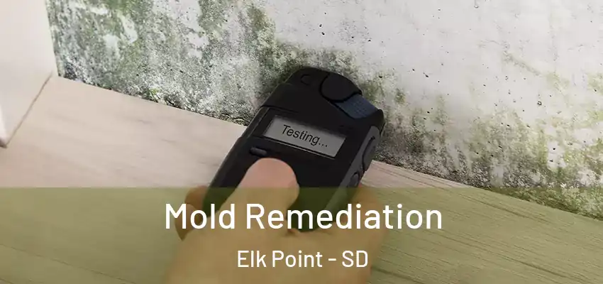 Mold Remediation Elk Point - SD