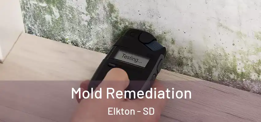 Mold Remediation Elkton - SD