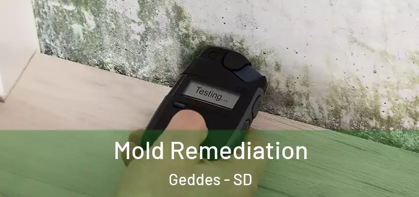  Mold Remediation Geddes - SD