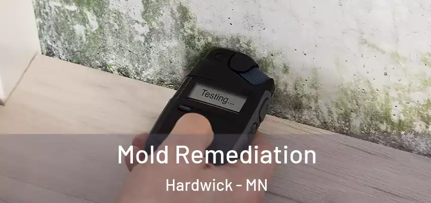 Mold Remediation Hardwick - MN