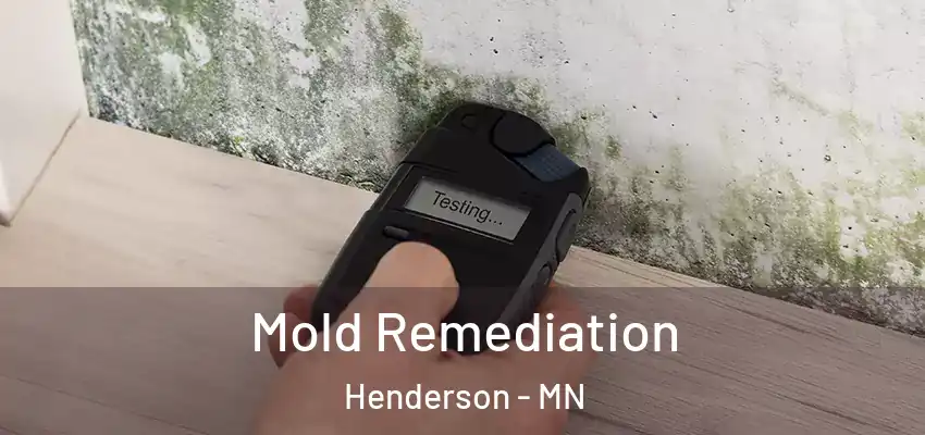  Mold Remediation Henderson - MN