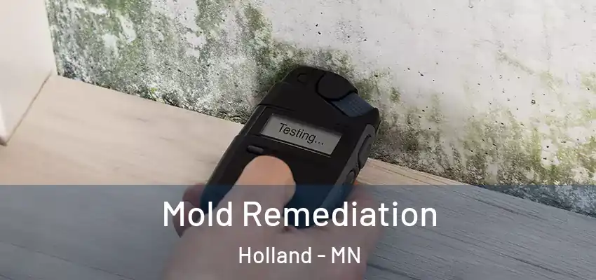 Mold Remediation Holland - MN