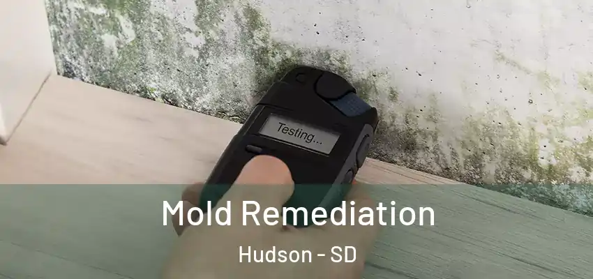 Mold Remediation Hudson - SD