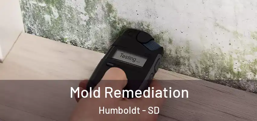 Mold Remediation Humboldt - SD