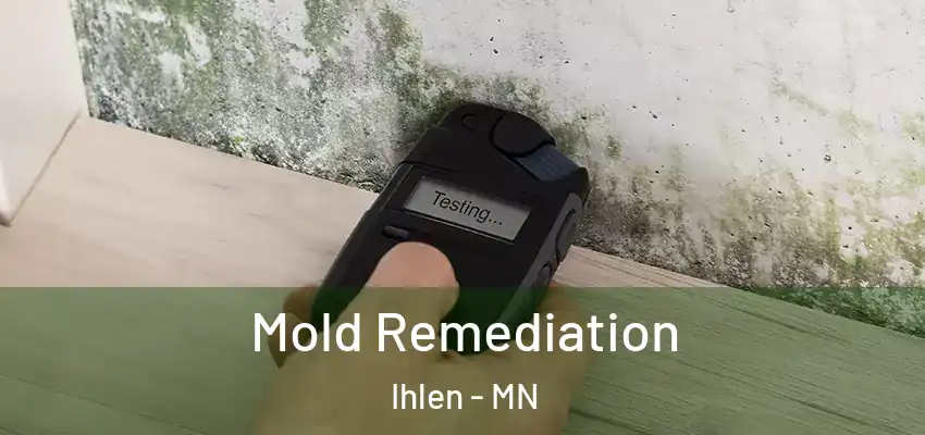 Mold Remediation Ihlen - MN
