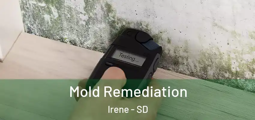 Mold Remediation Irene - SD