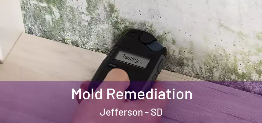  Mold Remediation Jefferson - SD