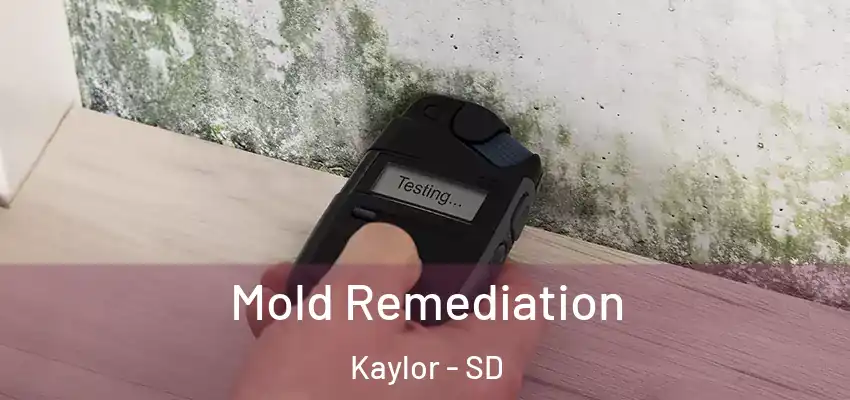  Mold Remediation Kaylor - SD