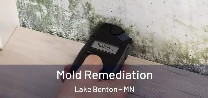Mold Remediation Lake Benton - MN