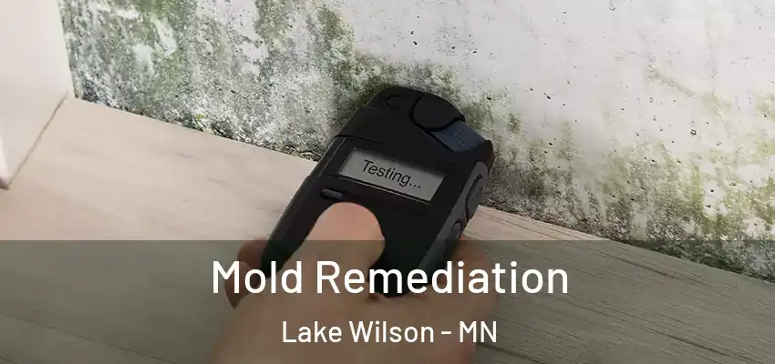 Mold Remediation Lake Wilson - MN