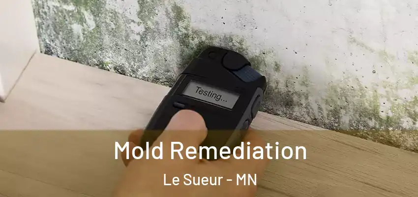 Mold Remediation Le Sueur - MN