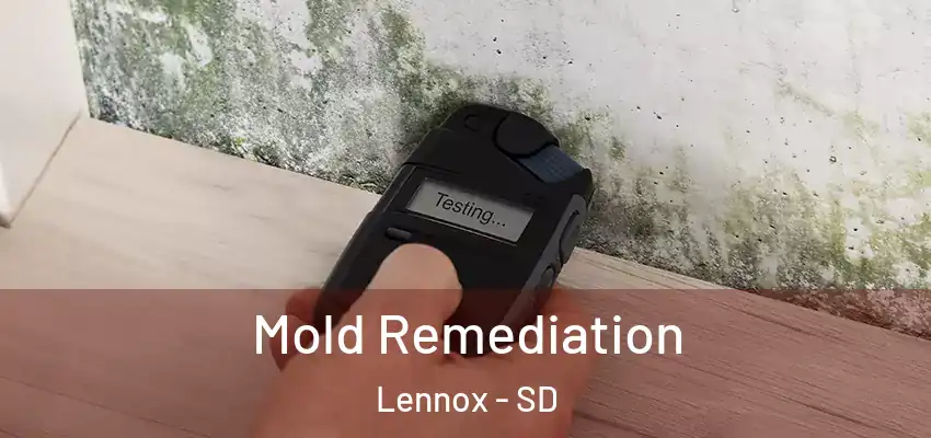 Mold Remediation Lennox - SD