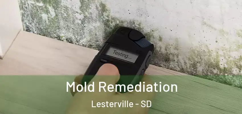 Mold Remediation Lesterville - SD