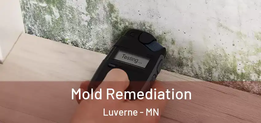  Mold Remediation Luverne - MN