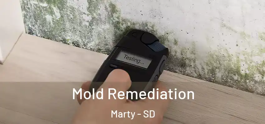 Mold Remediation Marty - SD