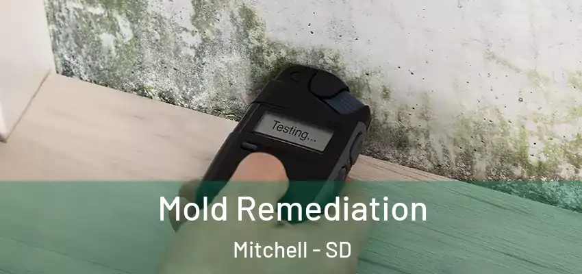  Mold Remediation Mitchell - SD