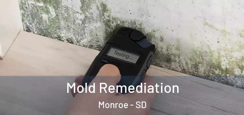 Mold Remediation Monroe - SD
